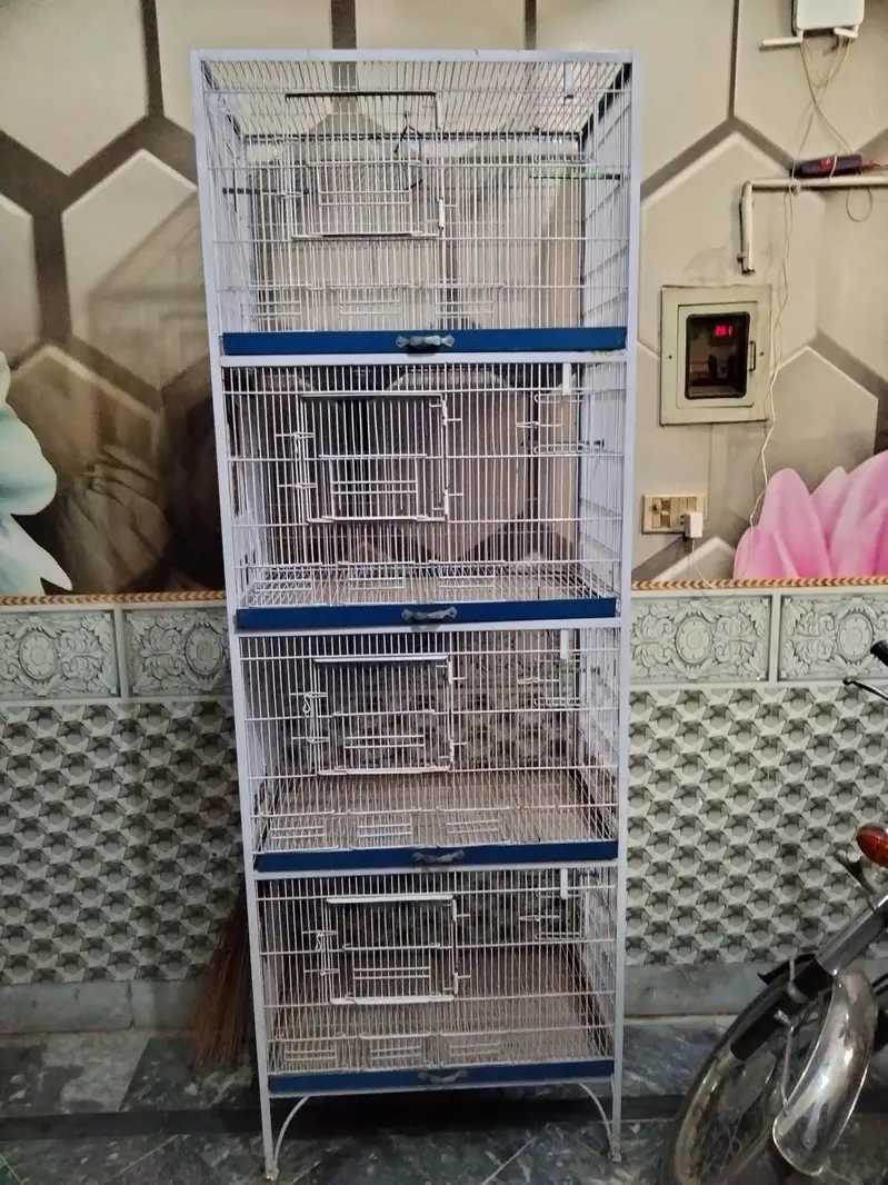 parrots cage — photo 2