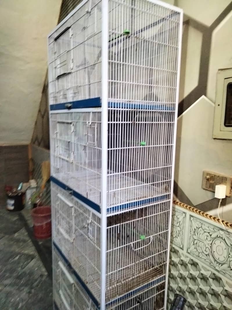 parrots cage 2