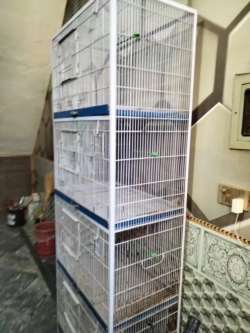 parrots cage — photo 3
