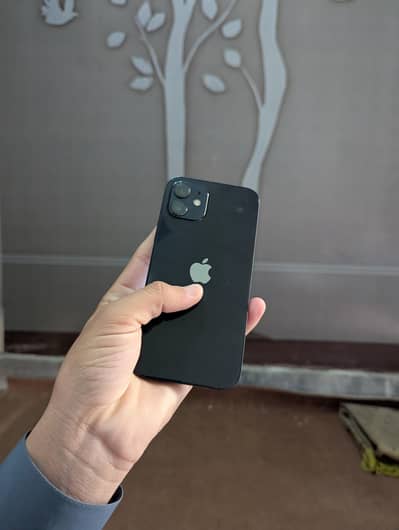 Apple iPhone 12 non pat ha sim working mein hai