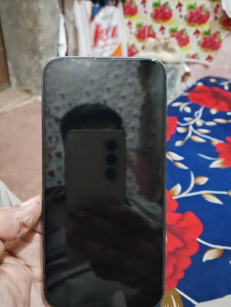 Apple iPhone 13 Pro Max 1