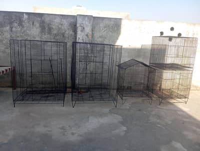 Gi Heavy Duty Wire Cage for Sale | Strong Steel Bird & Pet Cages