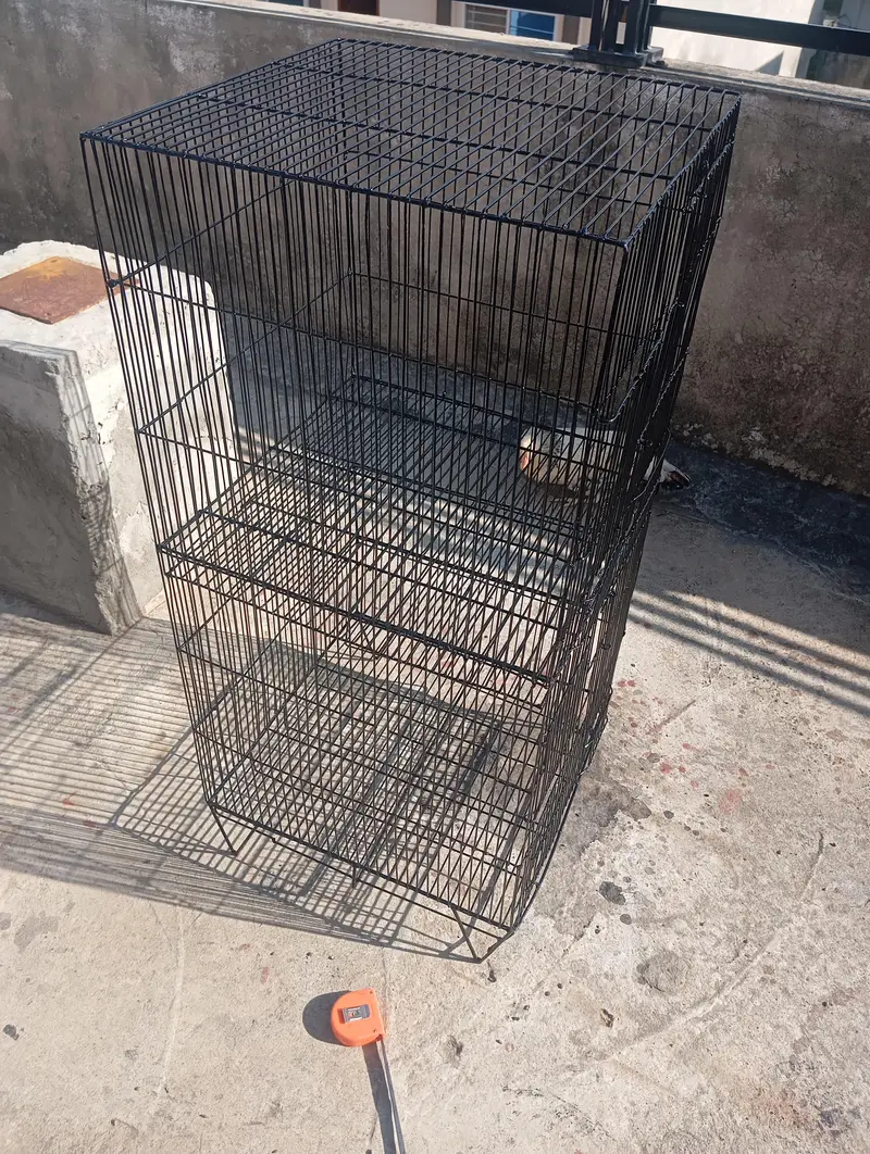 Gi Heavy Duty Wire Cage for Sale | Strong Steel Bird & Pet Cages — photo 6