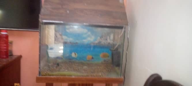 fish aquarium 2/1 feet all good