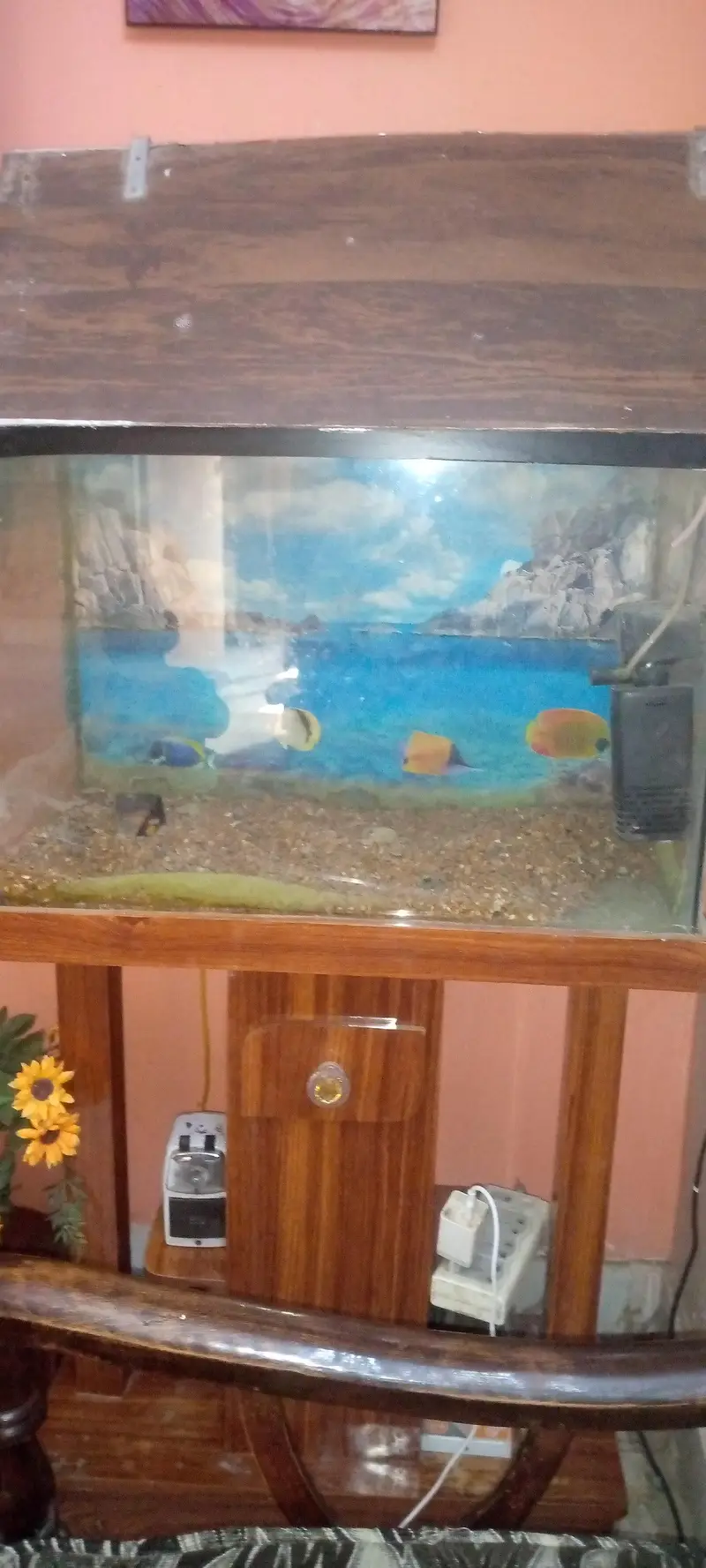 fish aquarium 2/1 feet all good — photo 3
