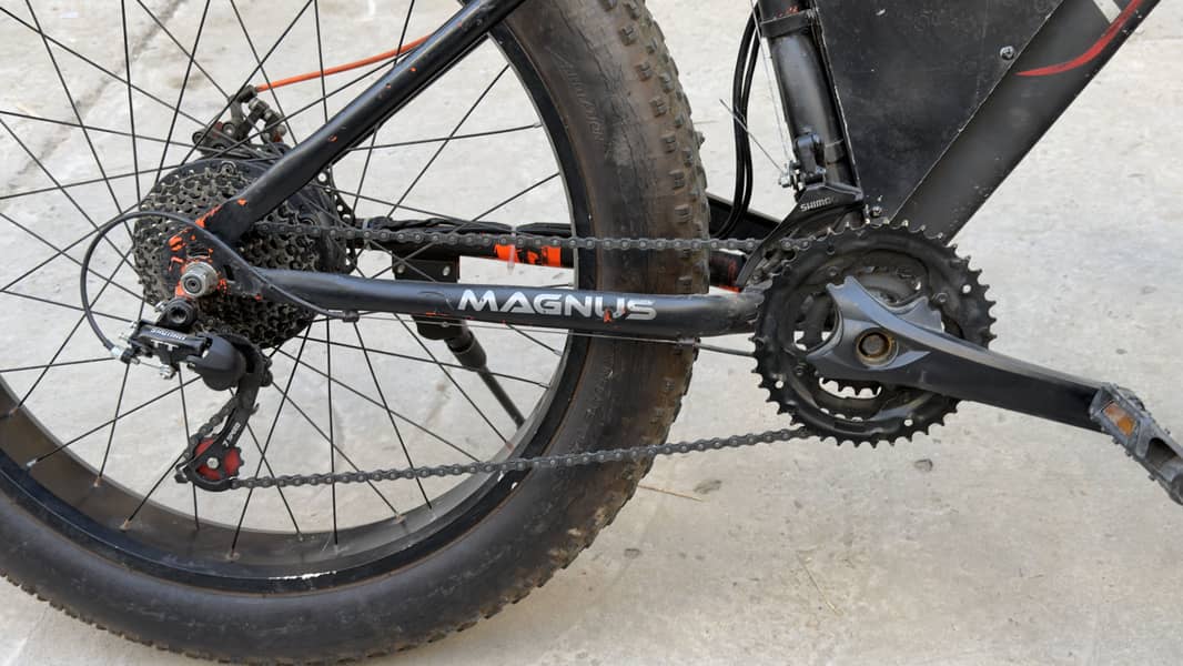 Electric imported cycle 3
