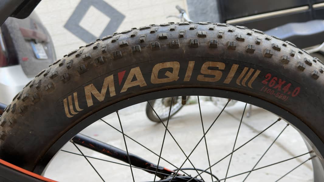 Electric imported cycle 5