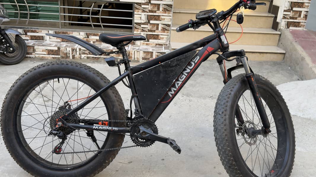 Electric imported cycle 7