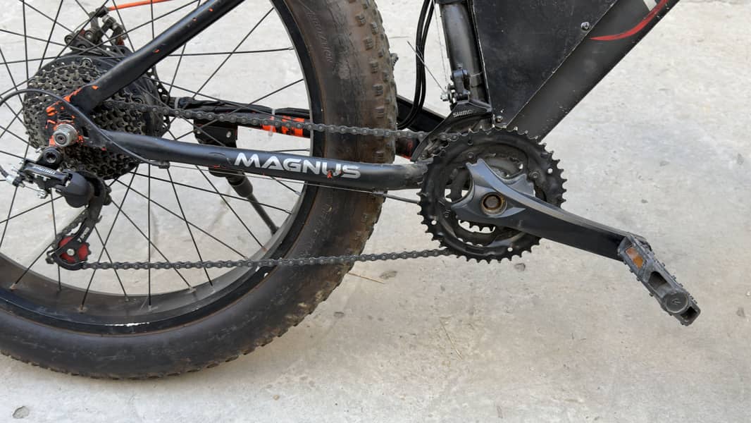 Electric imported cycle 11