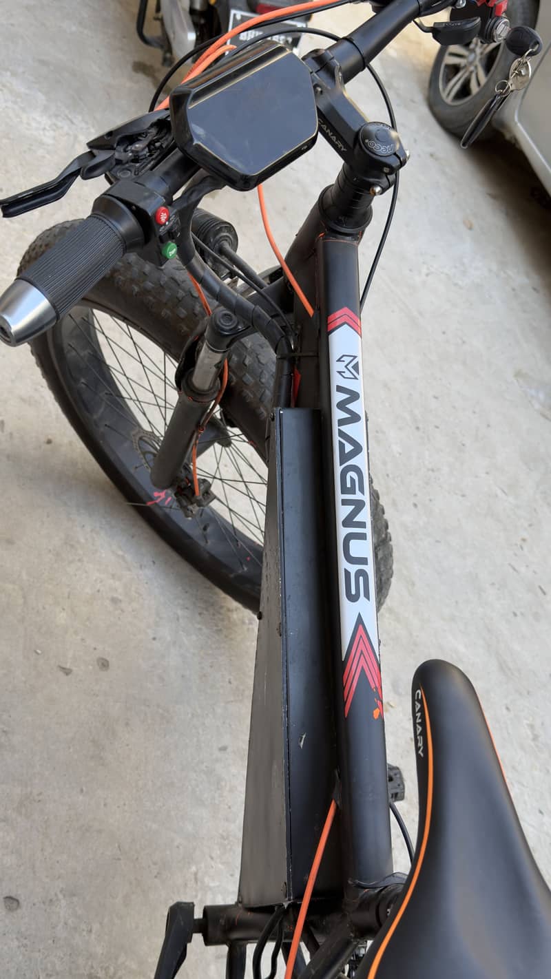Electric imported cycle 13