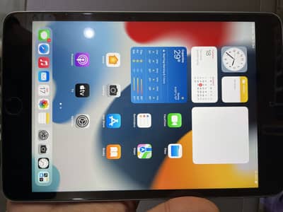 apple iPad mini 4 32gb gary color 10/10
