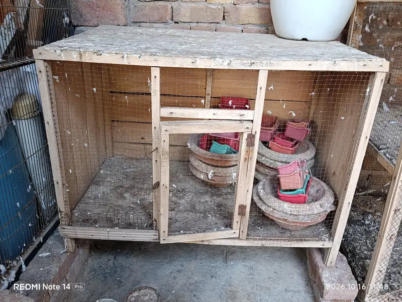 Used Cages — photo 2