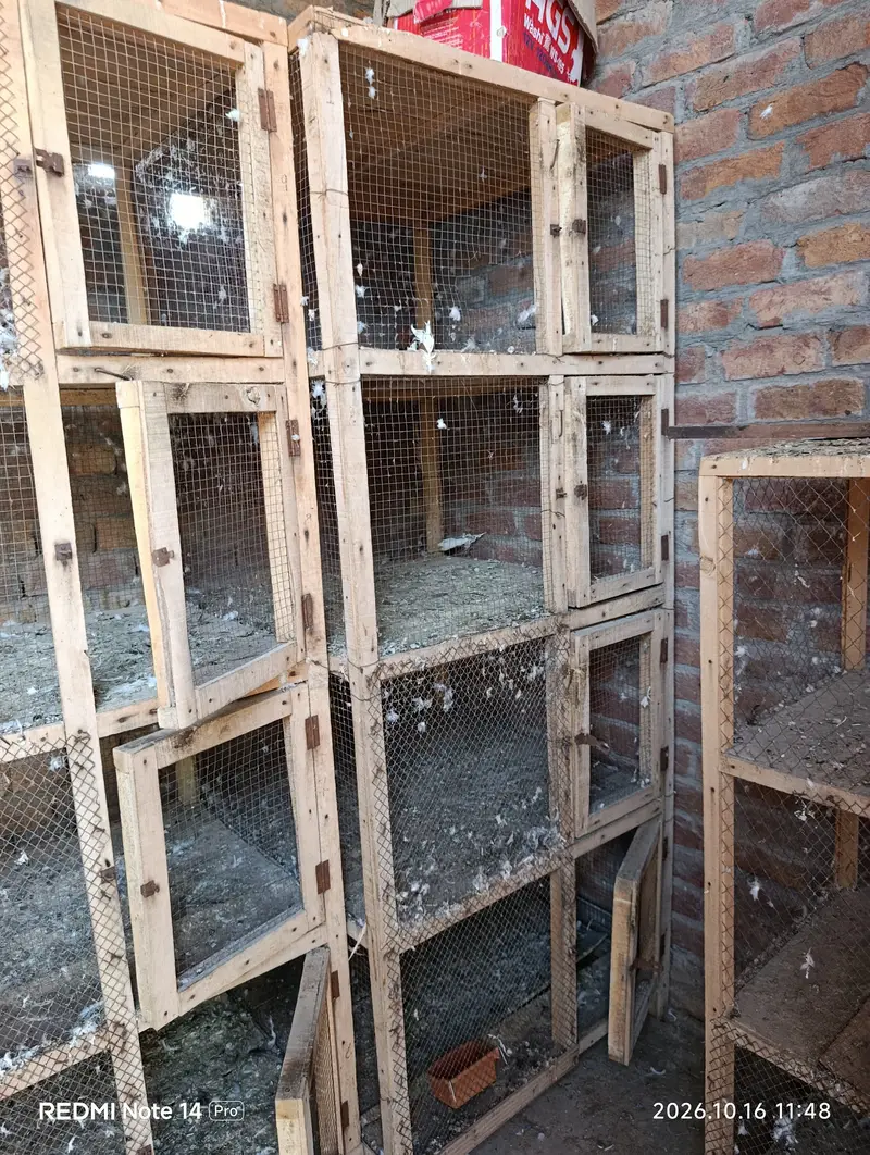 Used Cages — photo 3