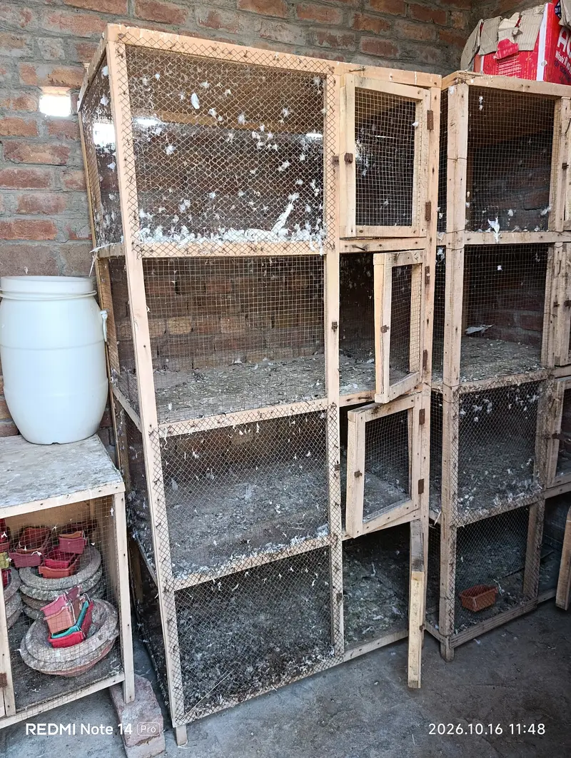 Used Cages — photo 4