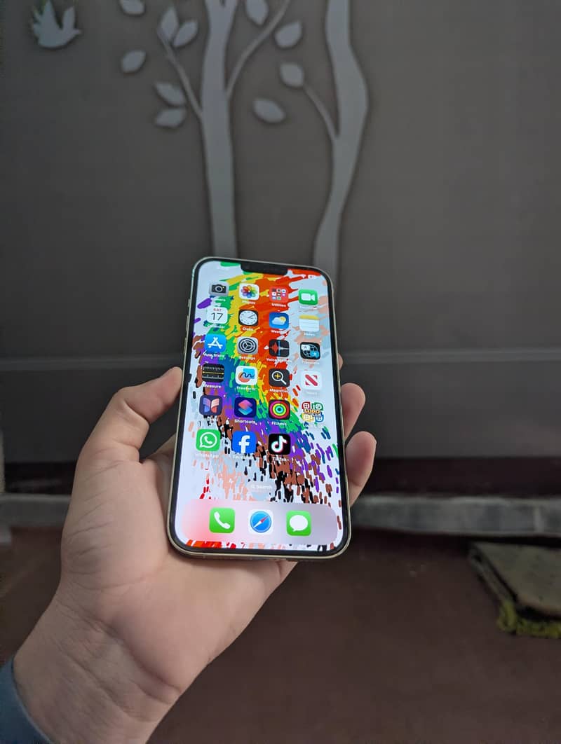 Apple iPhone 13 Pro Max 1