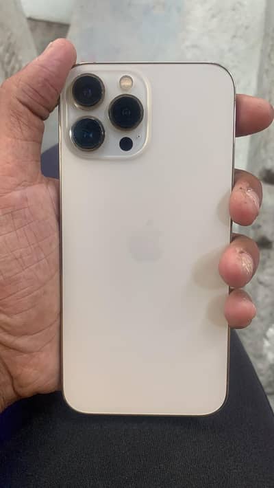 Apple iPhone 13 Pro Max