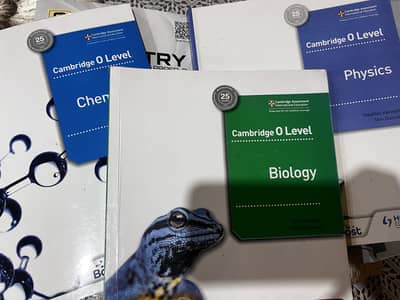 O'LEVEL NEW PAST PAPERS NEW CONDITIONS