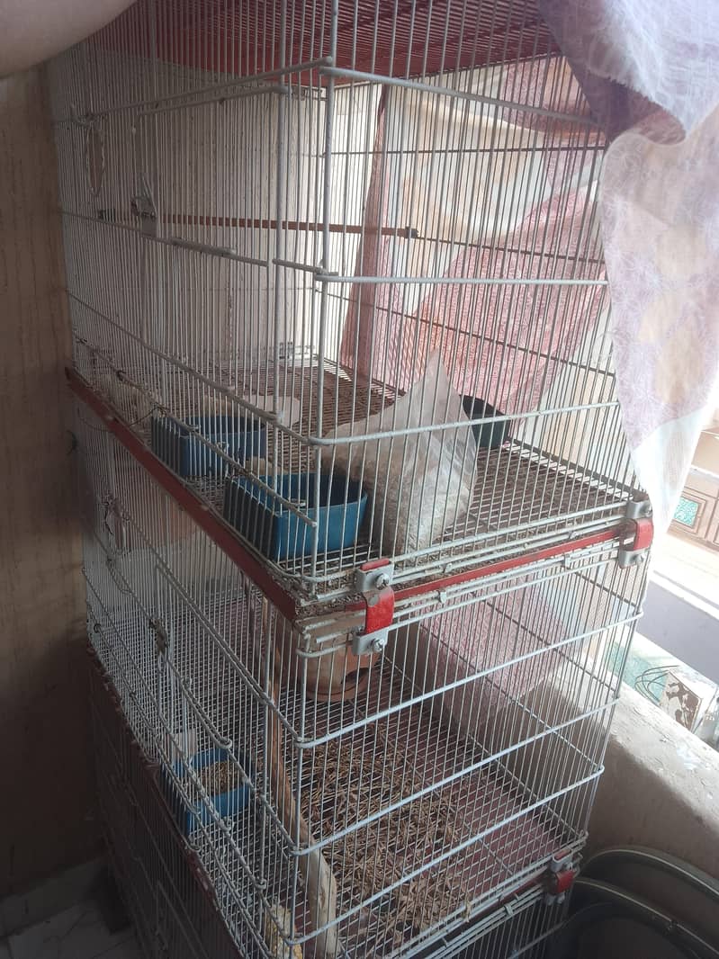 Iron cage 0