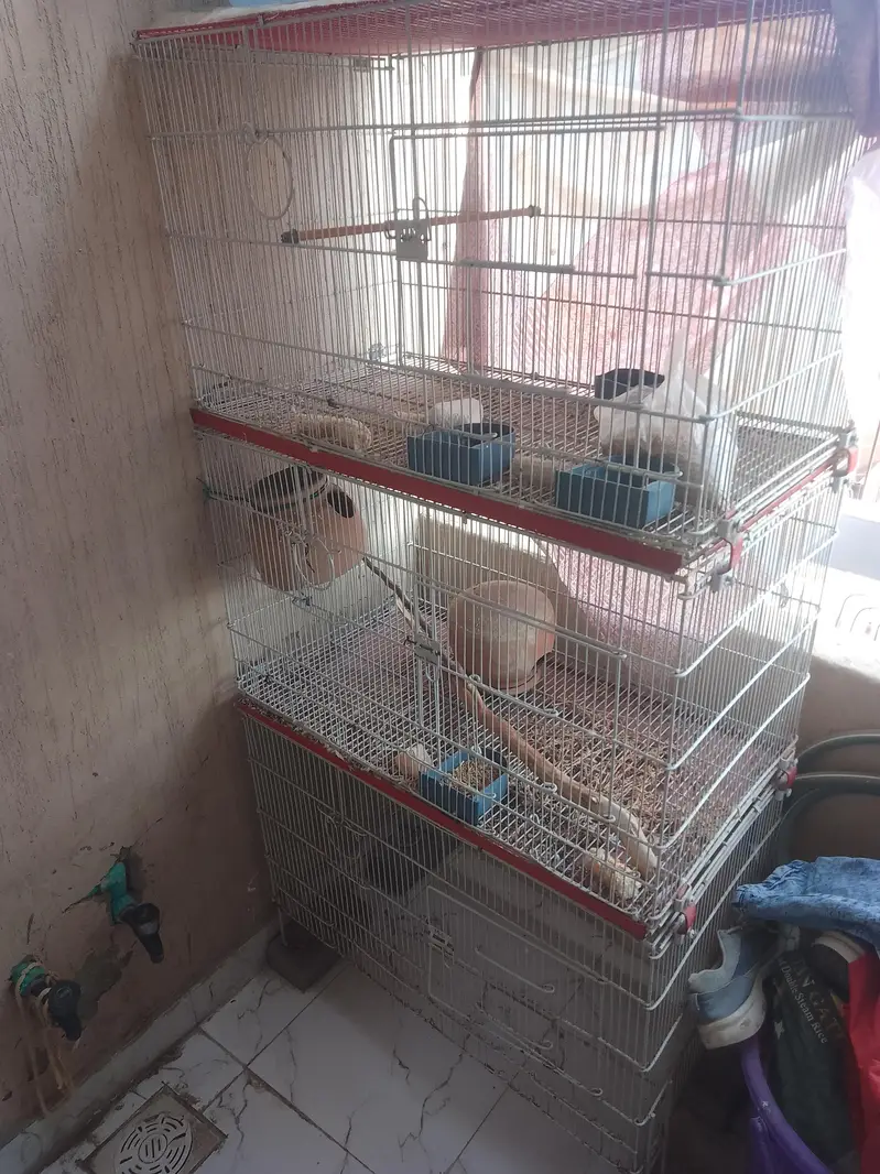 Iron cage — photo 2
