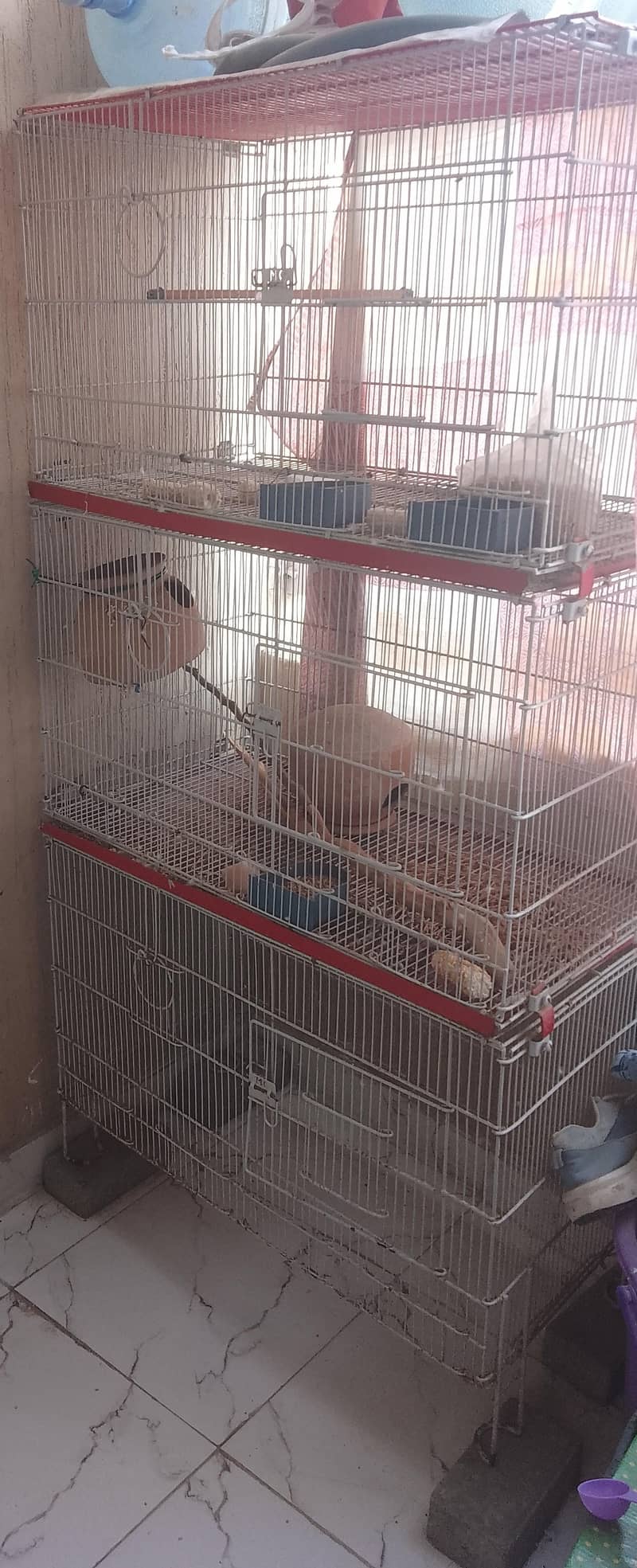 Iron cage 2
