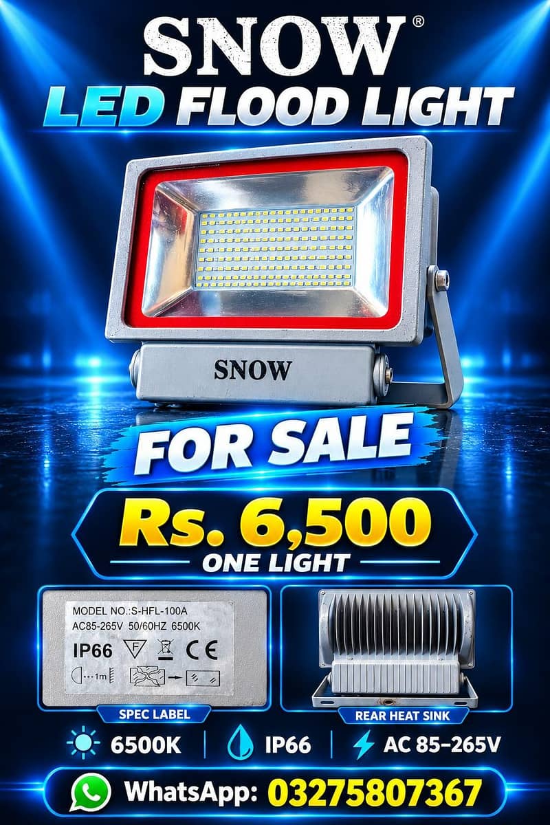 snow flood light 2