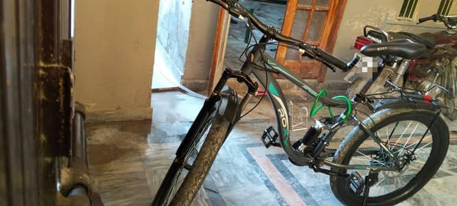 Roxy Bicycle for Sale – Great Condition!