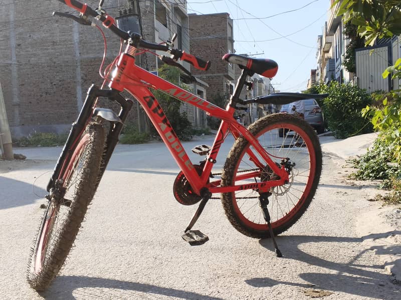 road cycle 0