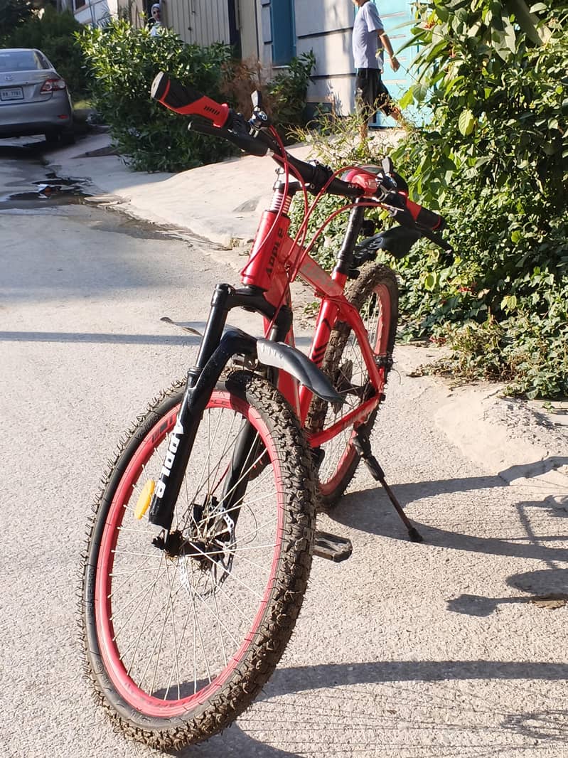 road cycle 1