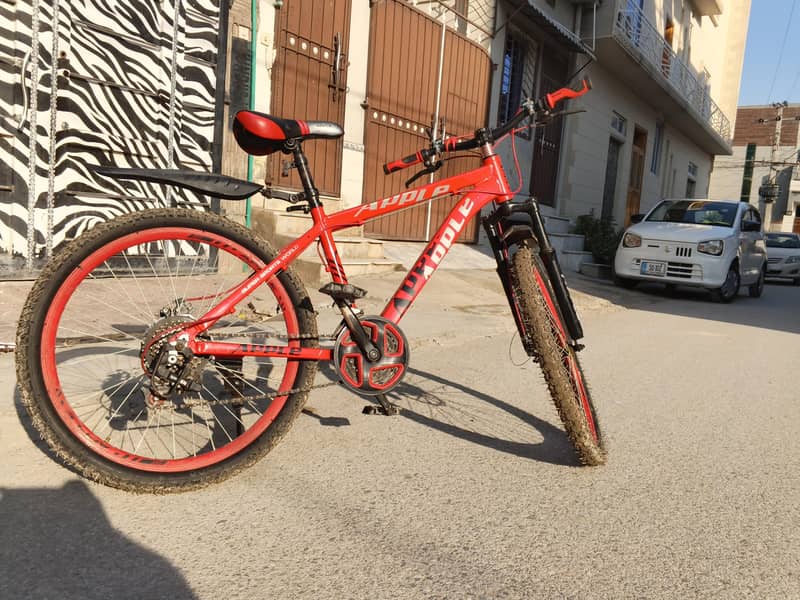 road cycle 2