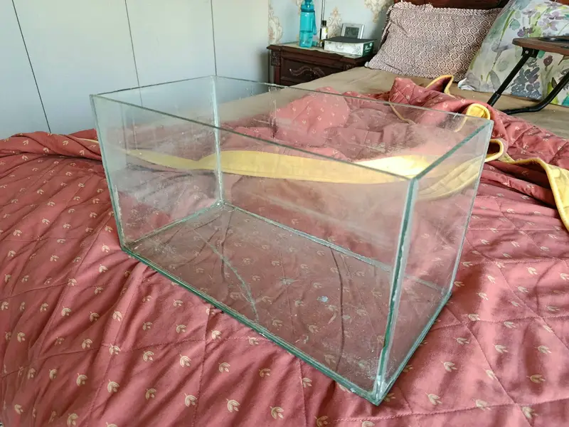 Small Aquarium for sale — photo 2