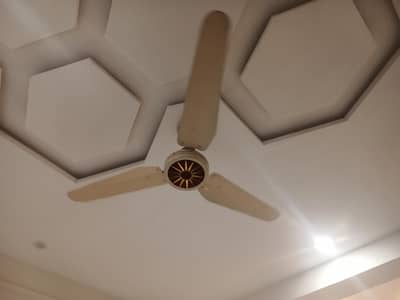 celling fans