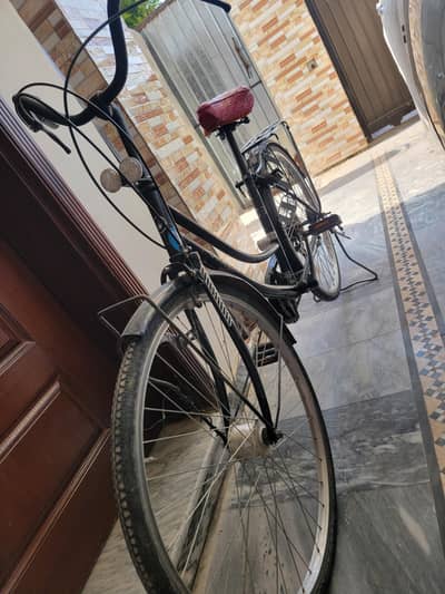 Bicycle for Sell