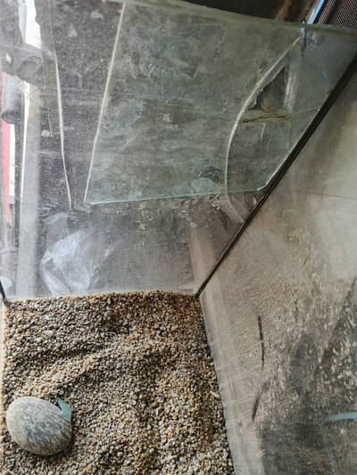 aquarium for sale