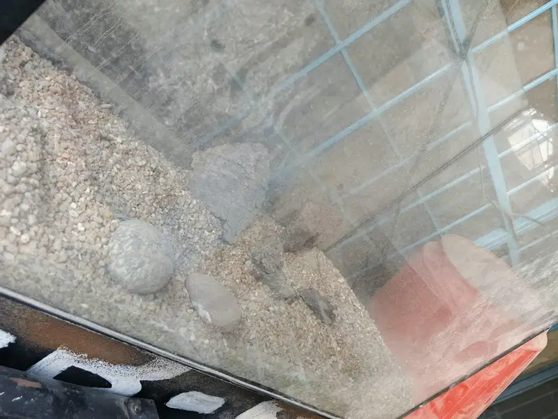 aquarium for sale — photo 3