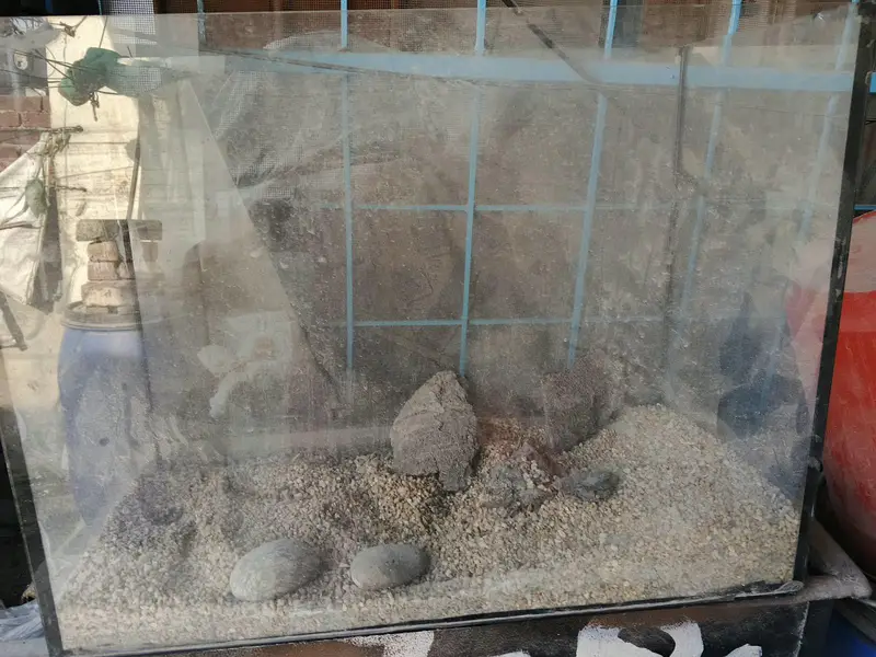 aquarium for sale — photo 4