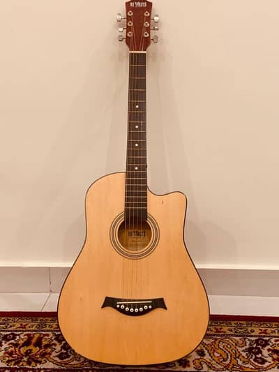 HI Volts Acoustic Guitar