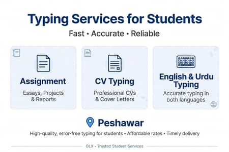 Typing Work - Assignment & CV