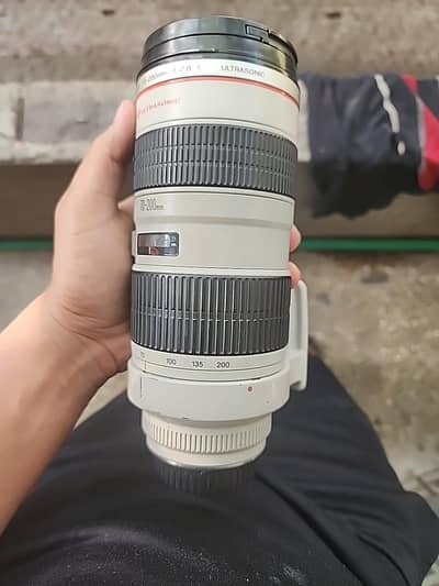 Canon EF 70-200mm f/2.8L USM