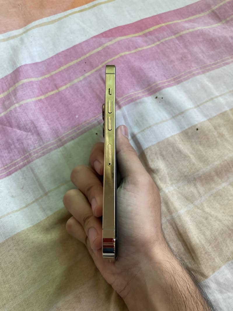 Apple iPhone 13 Pro 3