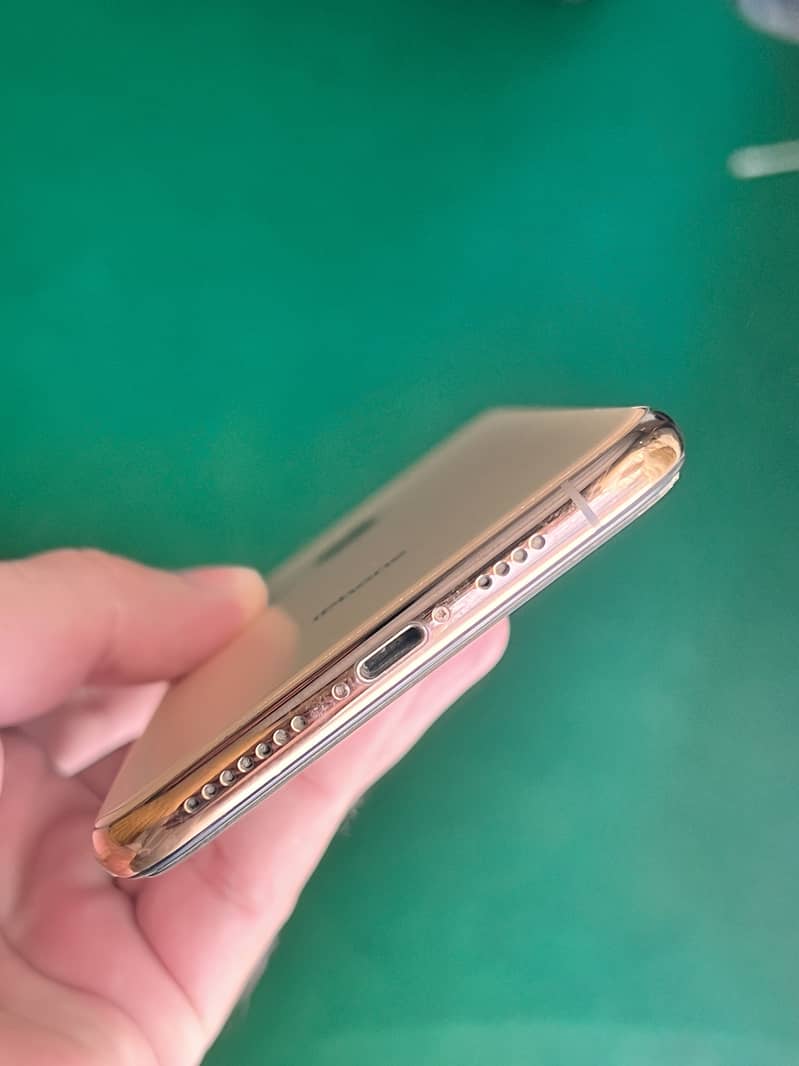Apple iPhone XS Max 1