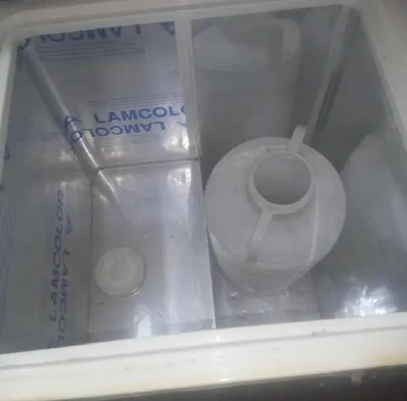 waves D freezer 1