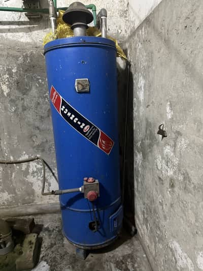 Gas geyser