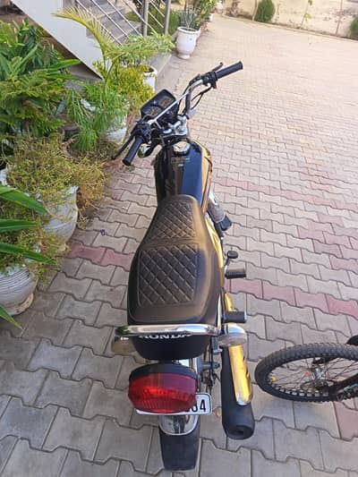 self start gold edation