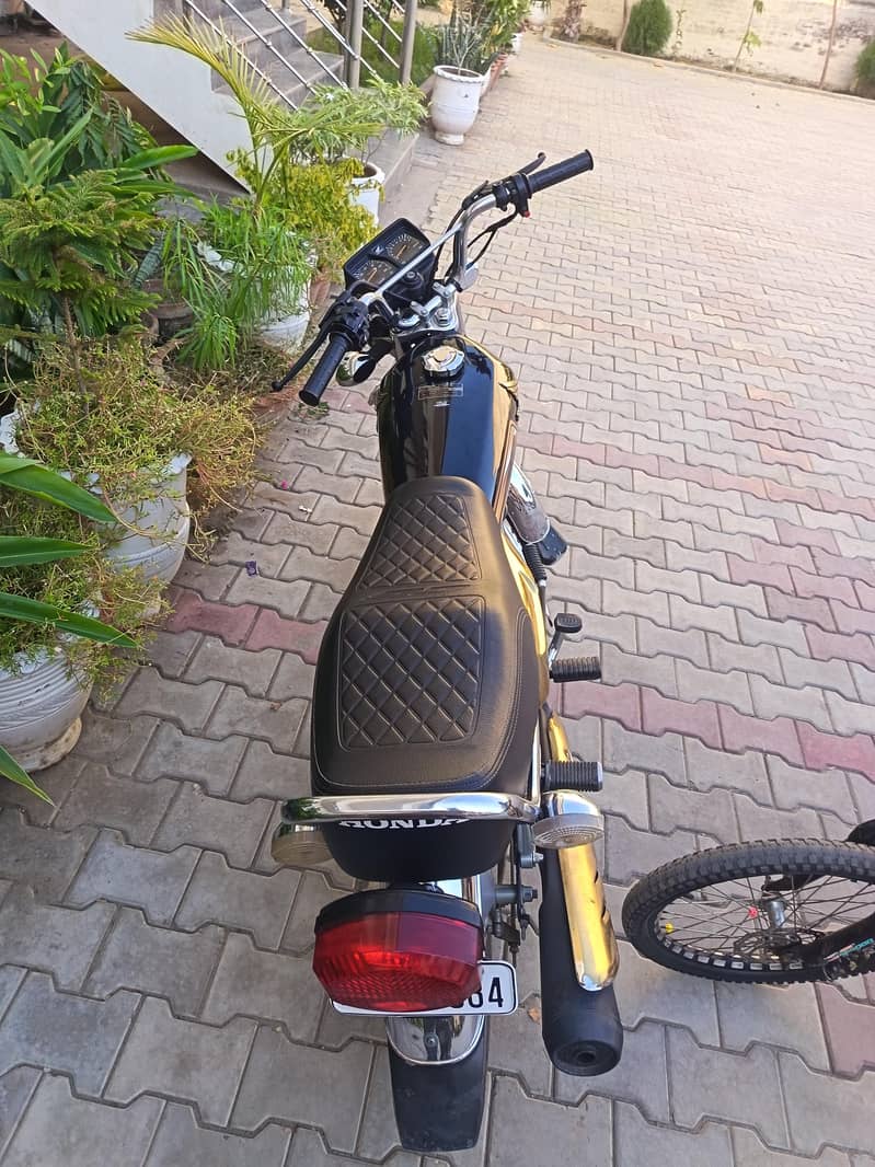 self start gold edation 0