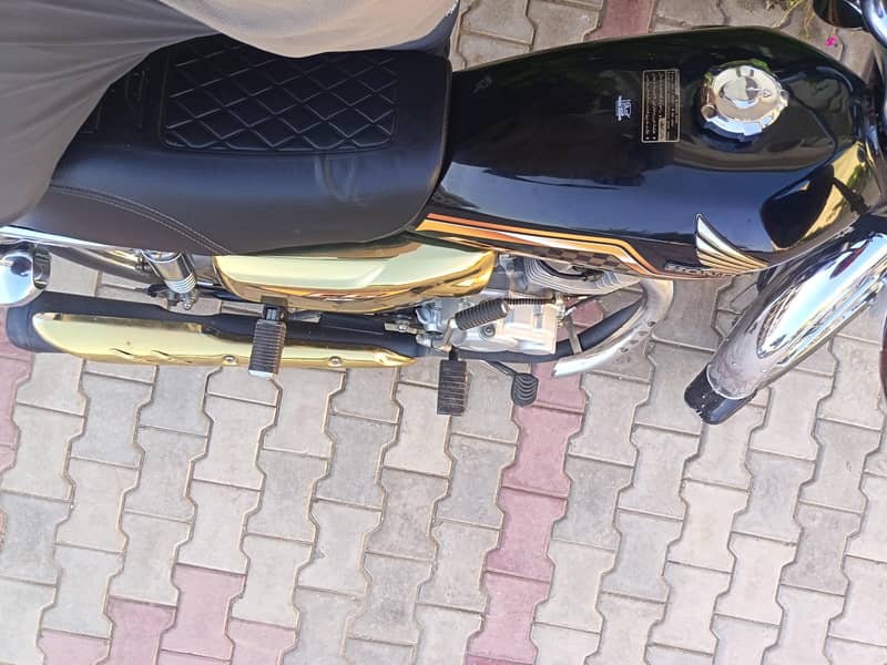 self start gold edation 1