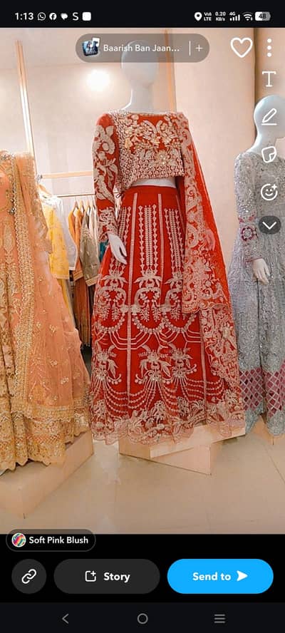 Elegant Wedding Lehnga – Like New