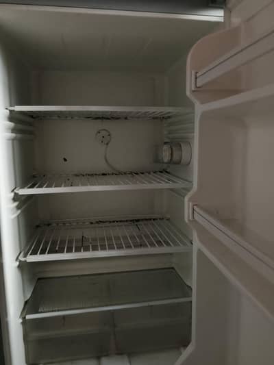 Hair refrigerator used with great care