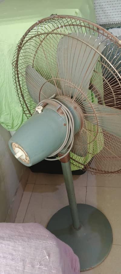 Fan sale
