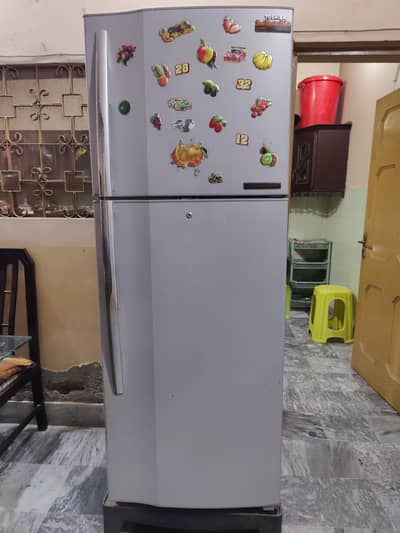 Toshiba No Frost fridge. Full size refrigerator no frost