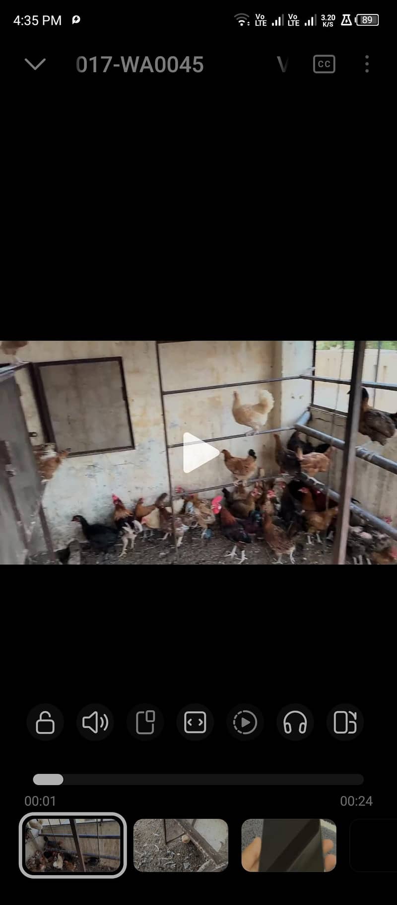 desi hens 0